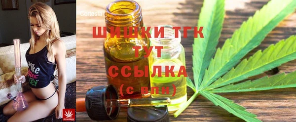 мет Алексин