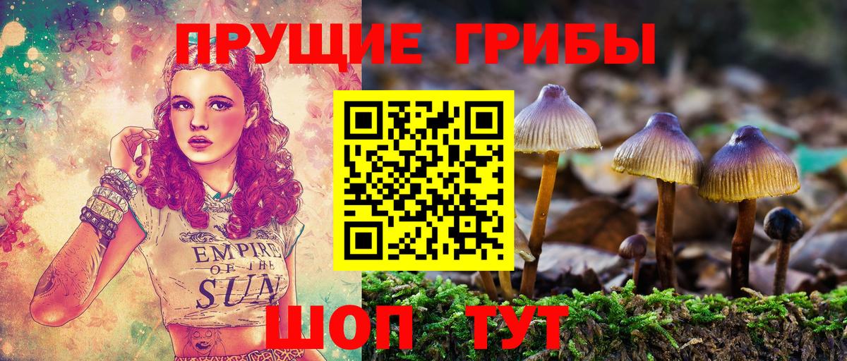 Галлюциногенные грибы ЛСД  Вход с VPN  Сосновоборск 